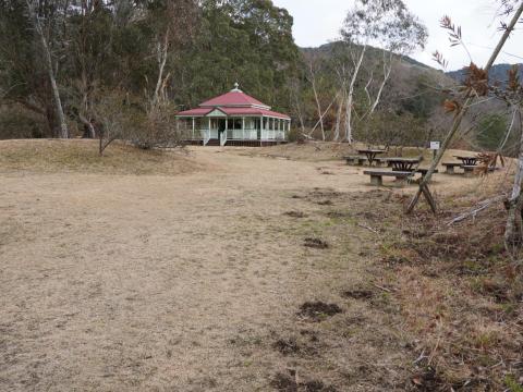 ブリスベーンの森