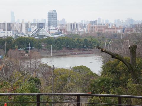 鶴見新山からの眺め
