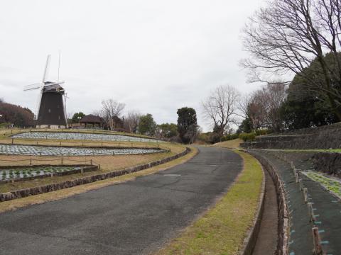 風車の丘