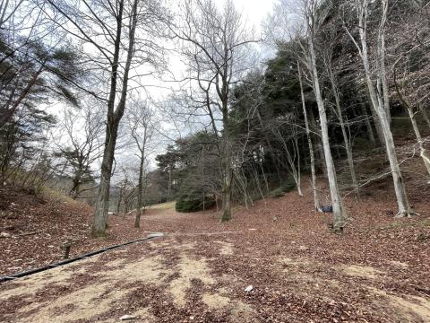 神戸森林植物園