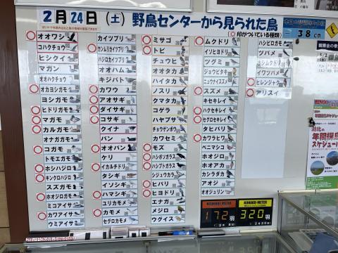 湖北野鳥センター