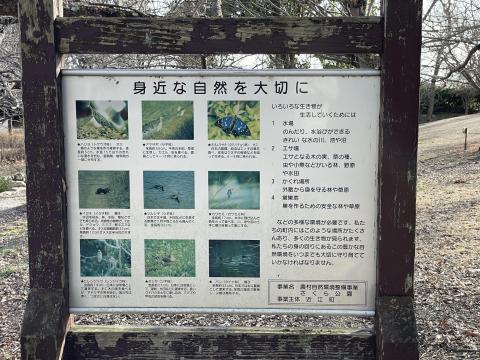 道の駅 近江母の郷