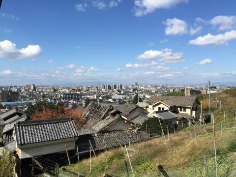 ブドウ畑からの眺め