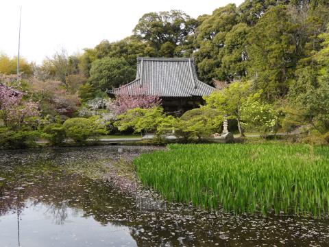 長岳寺