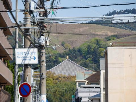 大仏殿と若草山