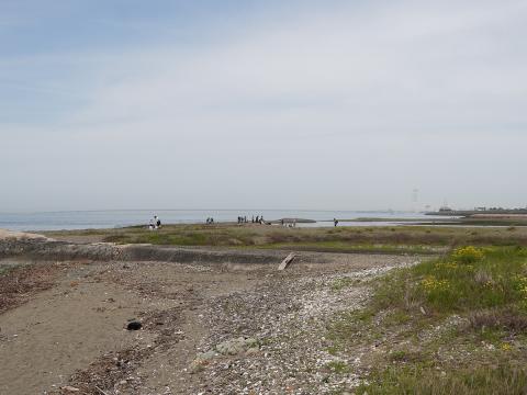 男里川左岸河口