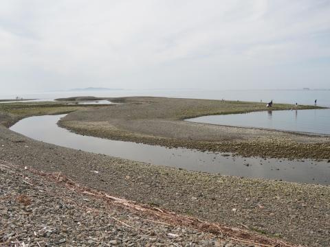 男里川右岸河口