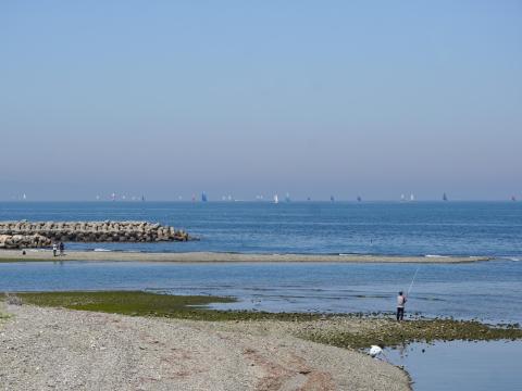 関空一周ヨットレース