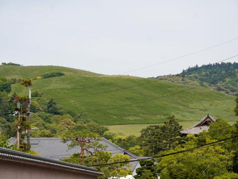 若草山