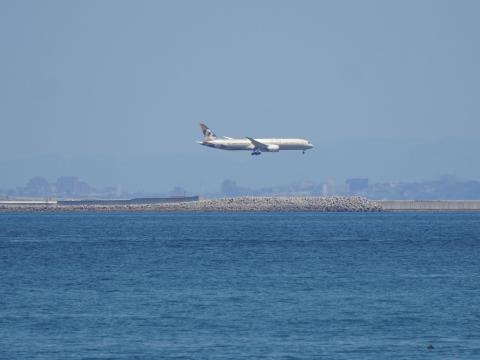 エティハド航空 B787