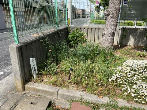 サザンコースト公園