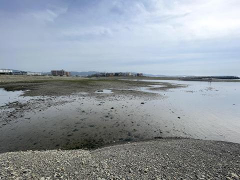 男里川右岸河口