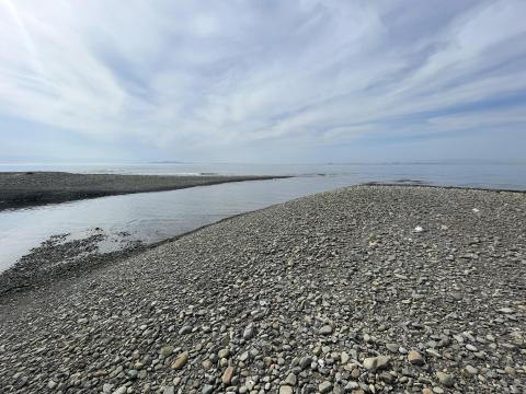 男里川右岸河口