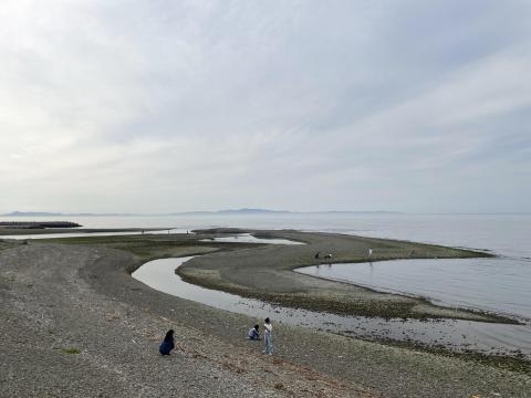 男里川右岸河口