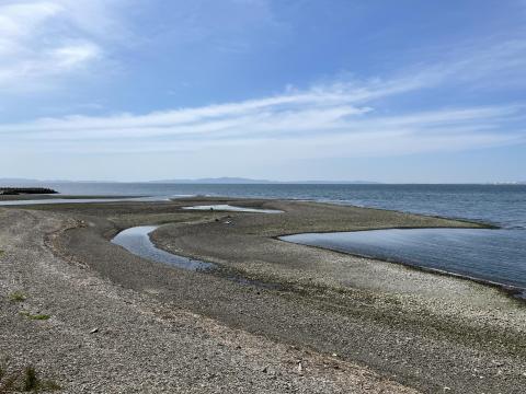 男里川右岸河口