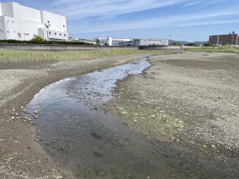 男里川右岸河口