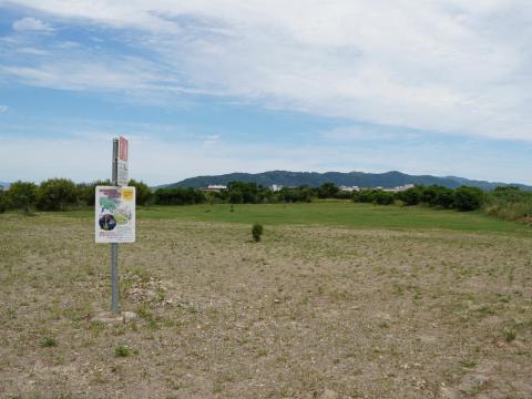 猪名川河川敷
