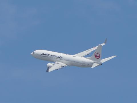 JAL B737-800 JA339J