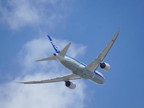 ANAB787-8 Dreamliner  JA804A