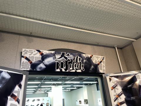 企画展 奇蟲