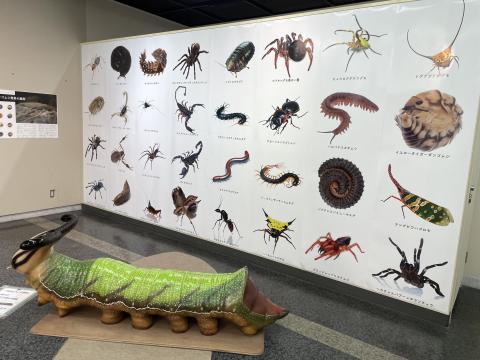 記念撮影コーナー