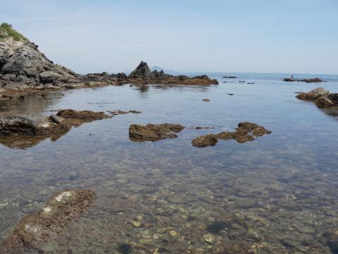しろんご浜東の浜