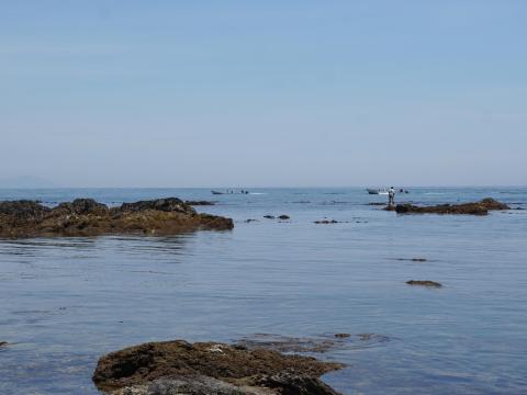 しろんご浜東の浜