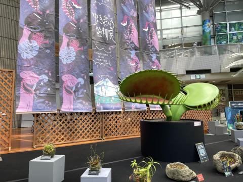 虫を食べる植物展