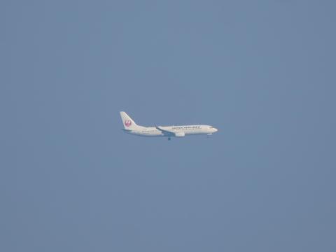 JAL B737-8