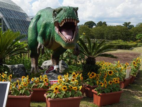 タキイ種苗、シュライヒ共同企画