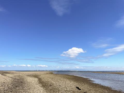 男里川左岸河口