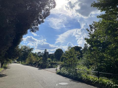 京都府立植物園