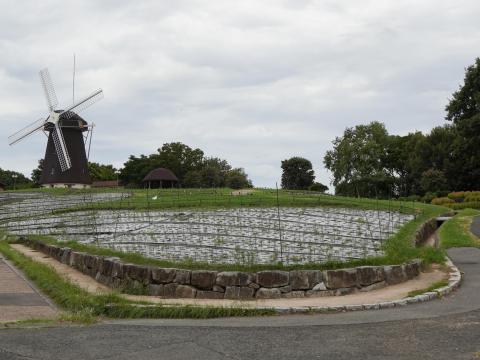 風車の丘