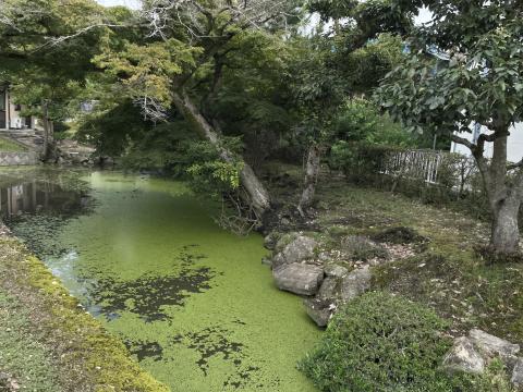 聖武天皇佐保山南陵