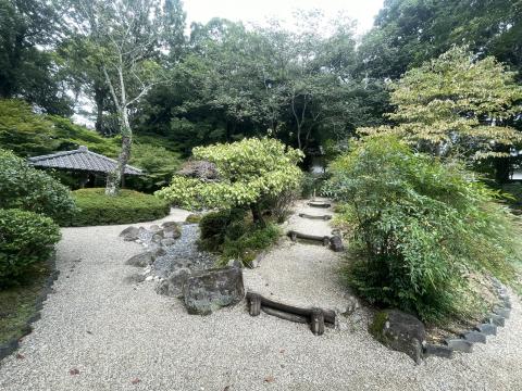 吉城園茶花の庭
