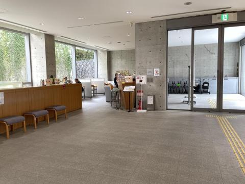 近つ飛鳥博物館