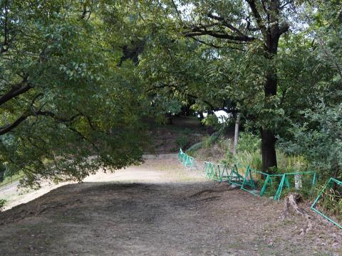 津堂城山古墳の前方墳丘