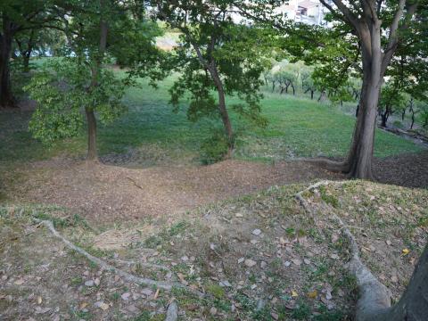 津堂城山古墳の墳丘