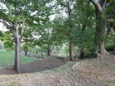 津堂城山古墳の墳丘