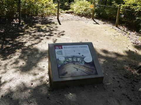 5: 築造当初の姿を残す南西隅部