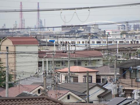 土塔からの眺め