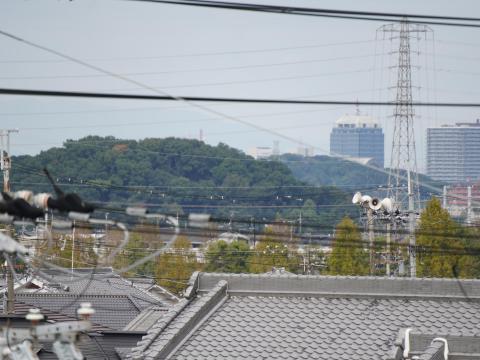 ニサンザイ古墳と仁徳天皇陵