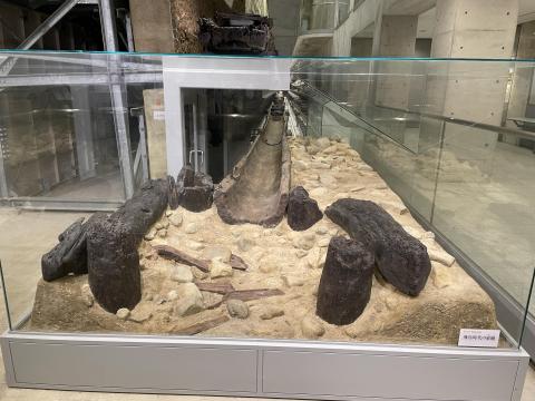 飛鳥時代の東樋