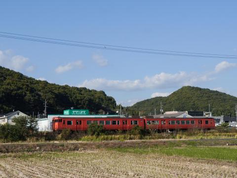 JR西 桃太郎線とチョウゲンボウ