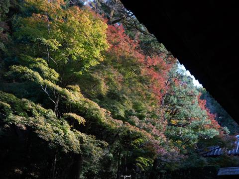 法然院方丈庭園