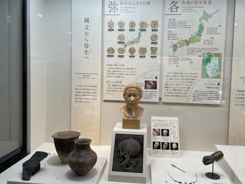 弥生の人たちの顔