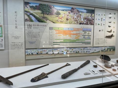 唐古・鍵ムラの四季