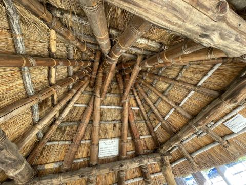 丸太くりぬき井戸