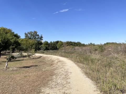 いずみの高殿の裏