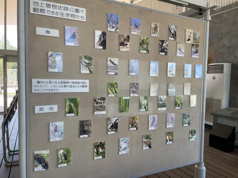 池上曽根弥生情報館